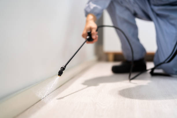 Flea Control Services in Brownsburg, IN