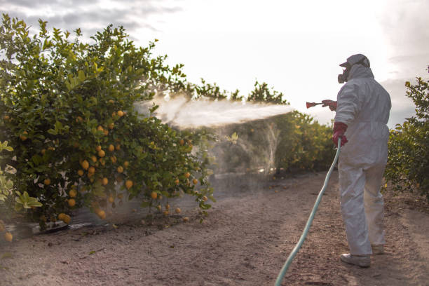 Best Affordable Pest Control Services  in Brownsburg, IN