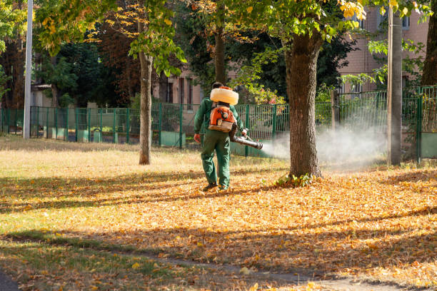 Best Bed Bug Extermination  in Brownsburg, IN