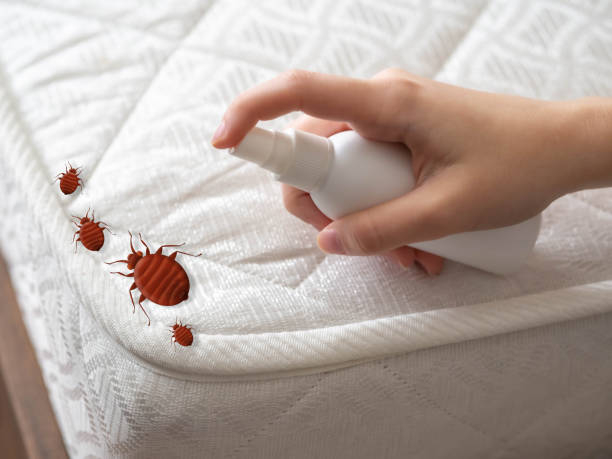 Best Pest Removal Services  in Brownsburg, IN